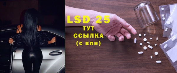 прущие грибы Алексеевка