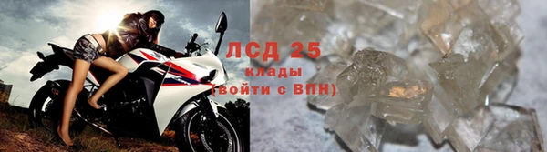 крисы Алзамай