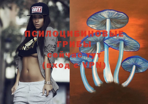 крисы Алзамай