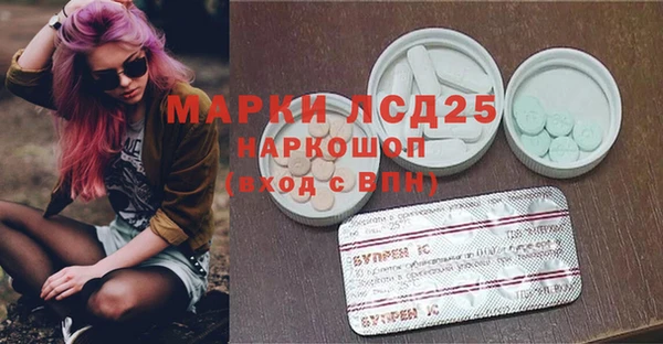 крисы Алзамай