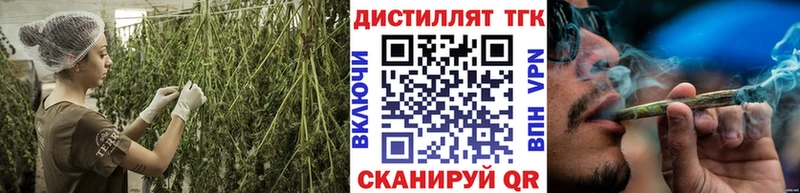 мориарти как зайти  Махачкала  Дистиллят ТГК THC oil  где найти наркотики 